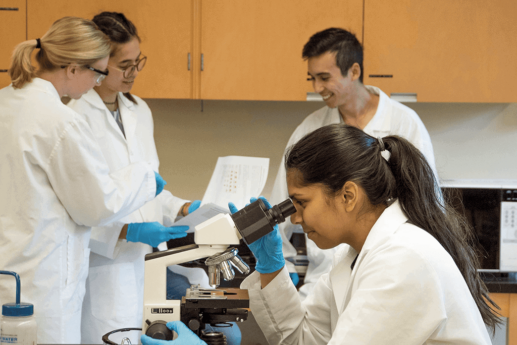 Scientists discussing projects in the lab.